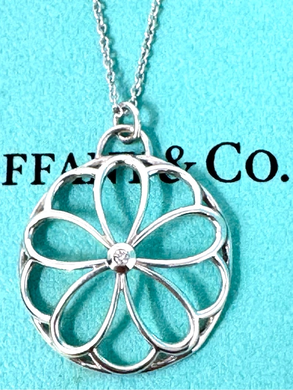 Tiffany & Co. Authentic Garden Flower Diamond Pendant Necklace.